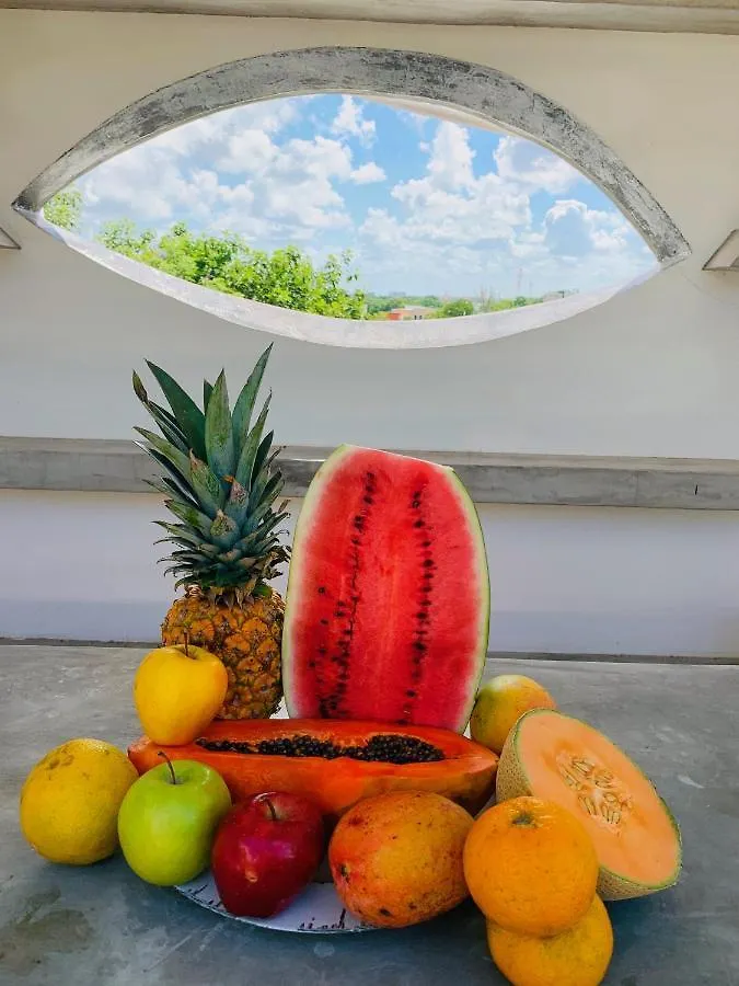 Villa Antilope Cancun