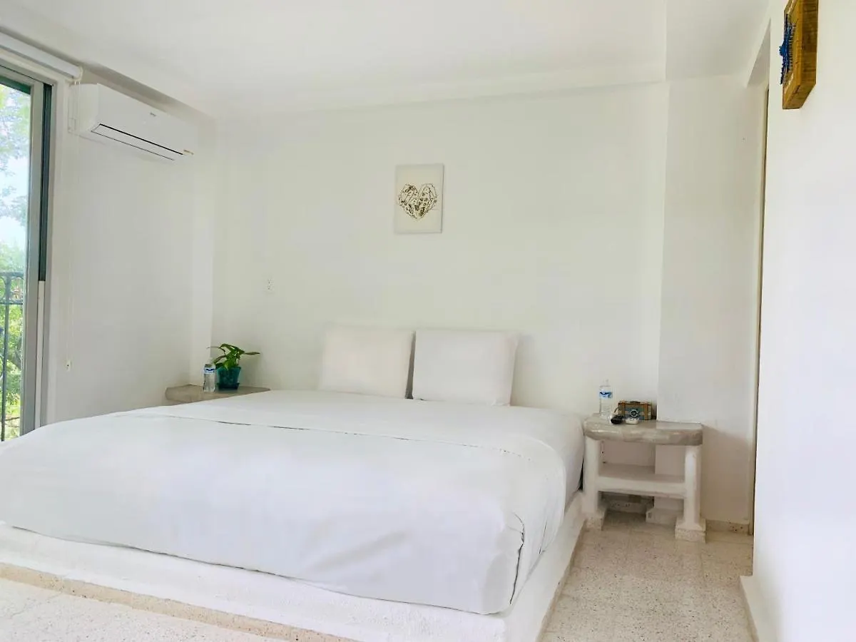 Bed & Breakfast Villa Antilope Cancun