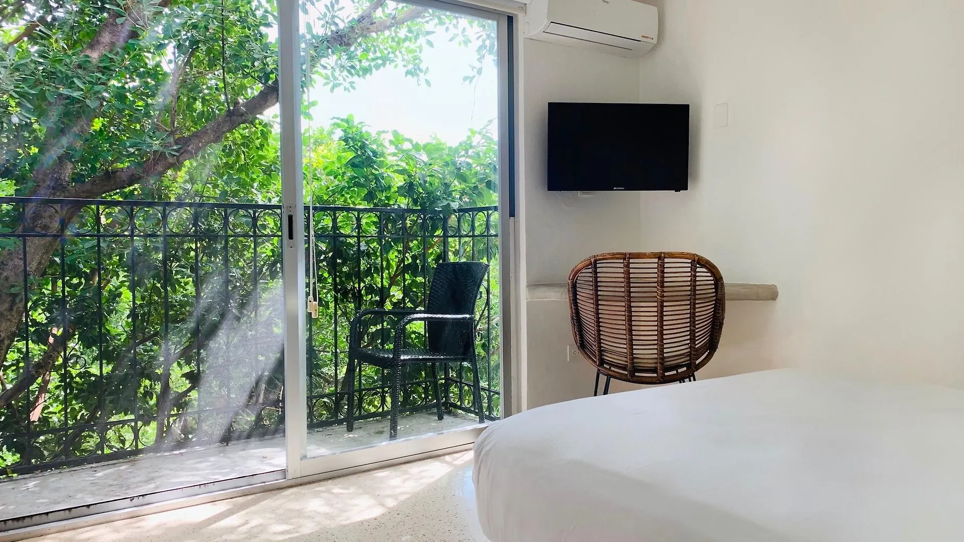 Villa Antilope Cancun Bed & Breakfast