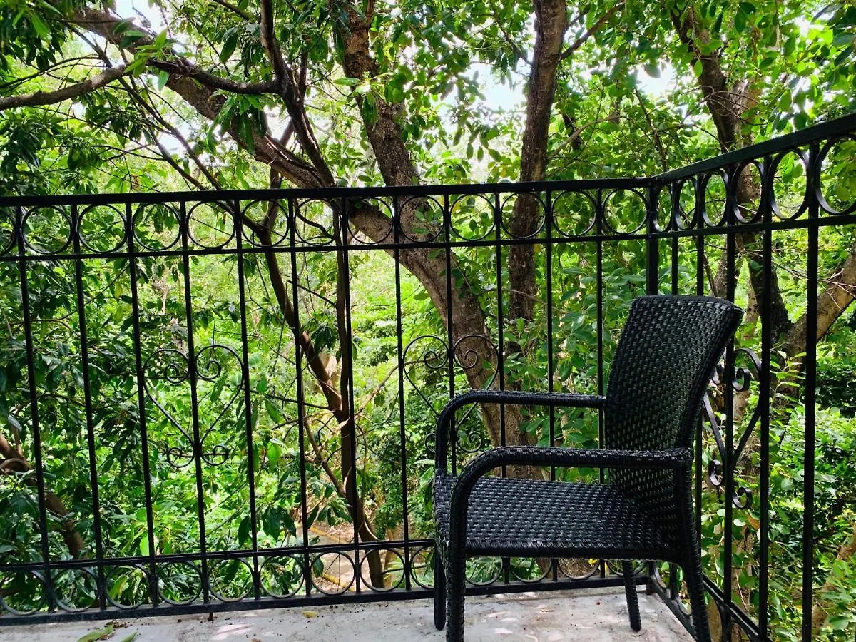 *** Bed and Breakfast Villa Antilope Κανκούν Μεξικό