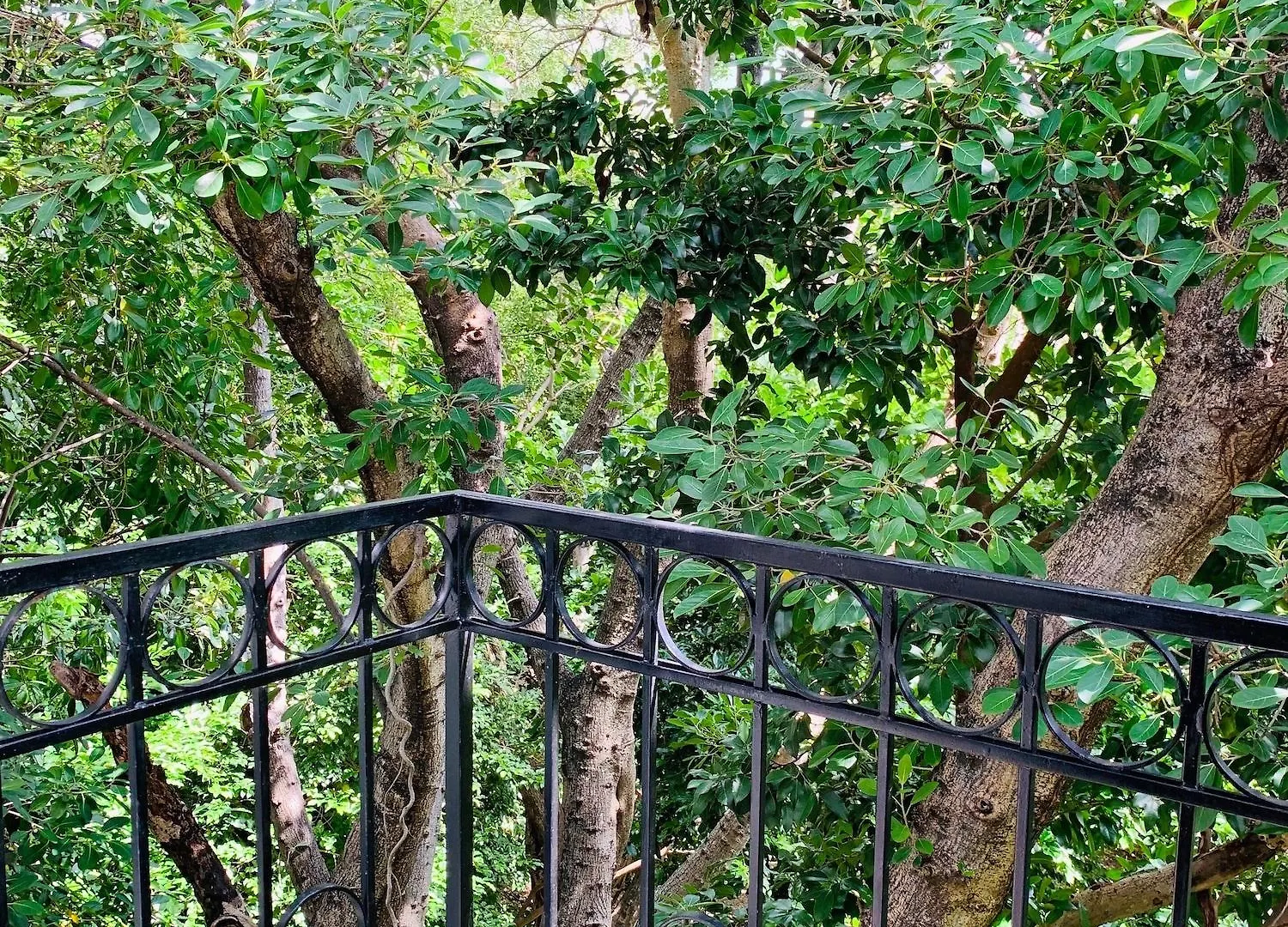 Villa Antilope Κανκούν